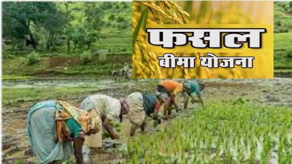 FASAL BIMA YOJANA CG