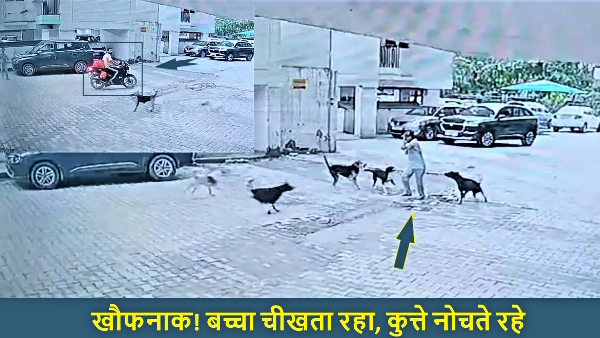 Ghaziabad Dog Attack CCTV viral video in Rajnagar officer city colony Delivery boy saved child