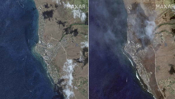 Hawaii Wilf Fire Hawaii Wilf Fire