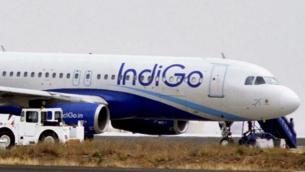 indigo