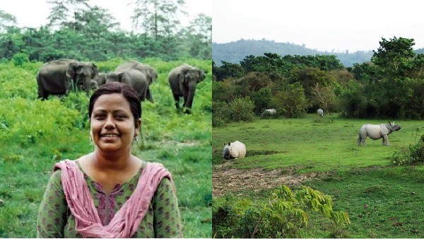 kaziranga national park sonali ghosh ifs