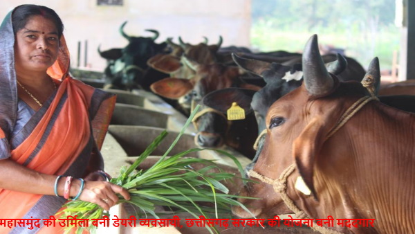 mahasmund success story mahasmund success story