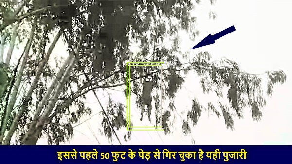 Viral Video Priest climbed 30 feet tall tree to show divine powers fell on ground as a branch broke 