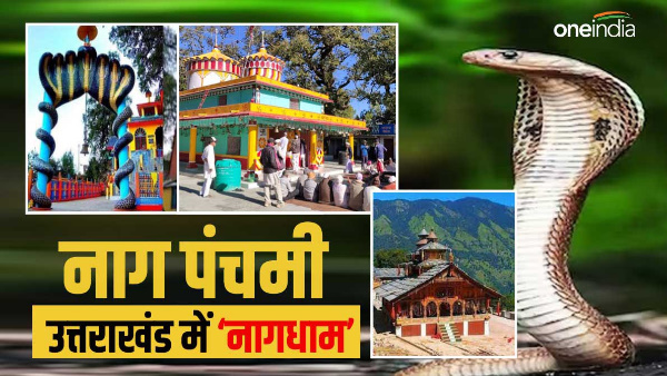 Nag Panchami 2023 Nagdham freedom from Kalsarp Nagtirtha sam mukham , the land of snakes berinaag Nag Panchami 2023 Nagdham freedom from Kalsarp Nagtirtha sam mukham , the land of snakes berinaag