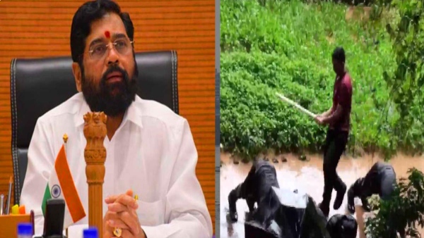 State government in action on video of NCC