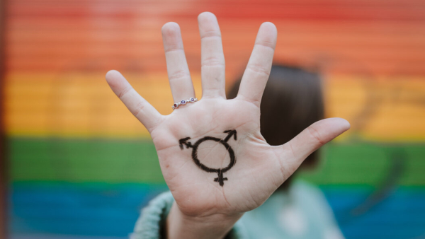 Will the legal and social status of transgenders change?