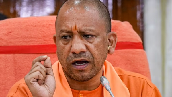 yogi yogi
