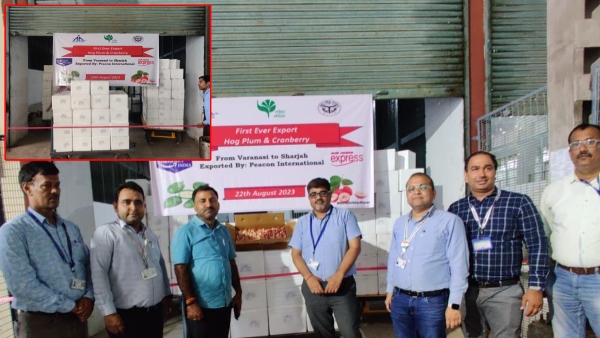 boda-parwal-and-karonda-were-sent-to-dubai-by-flight-from-varanasi-airport-in-up