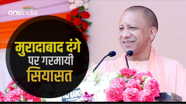 yogi
