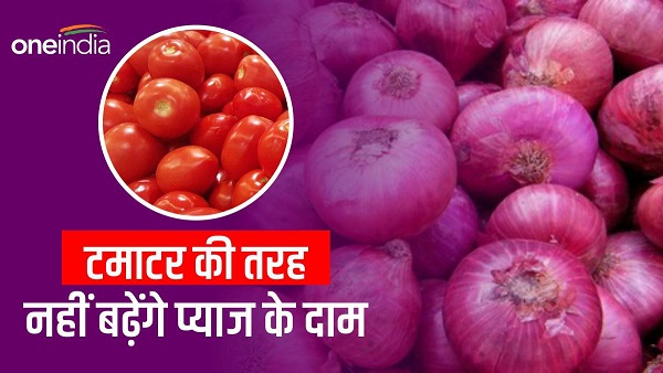 onion price