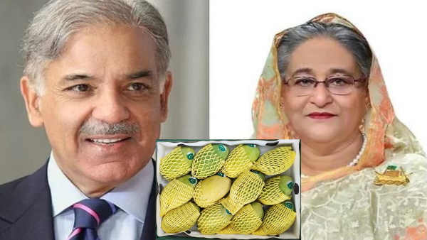 Shehbaz sends mango to Sheikh Hasina