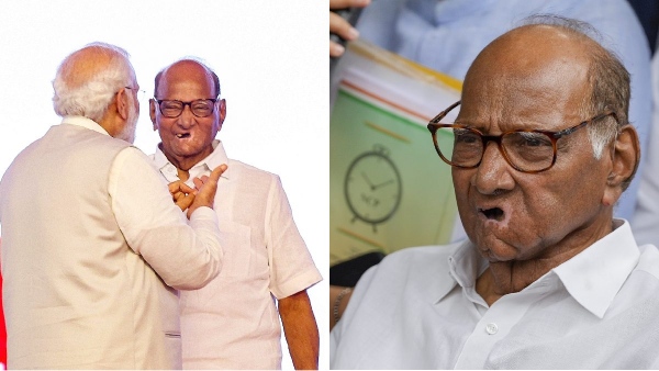 sharad pawar ncp