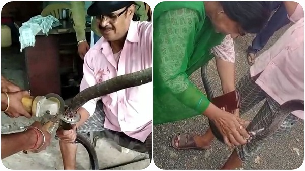  ocean_snack_rescue_ointment_bandage