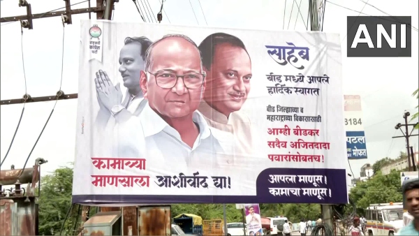 sharad pawar on ncp