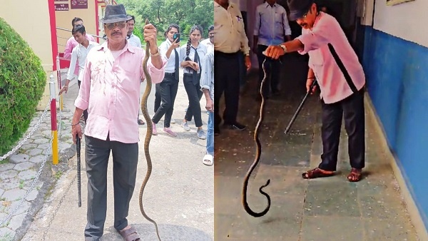 Sagar_कॉलेज में घुस आया छह फीट लंबा सांप, मची चीख-पुकार.. Sagar_कॉलेज में घुस आया छह फीट लंबा सांप, मची चीख-पुकार..