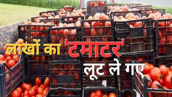 Tikamgarh_टमाटर से भरी गाड़ी लूटी, टीकमगढ़ से कानपुर जा रहा था वाहन