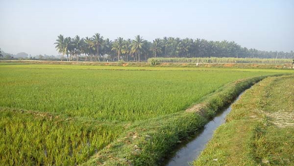  Minor Irrigation Potential