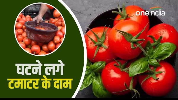 tomato prices kolkata