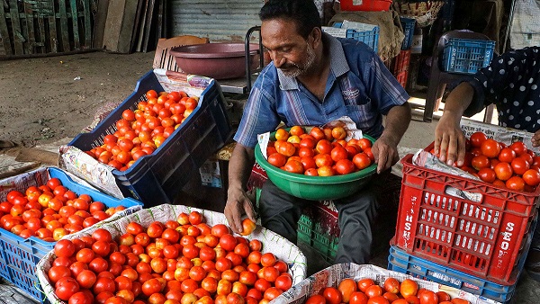 Tomatoes Price