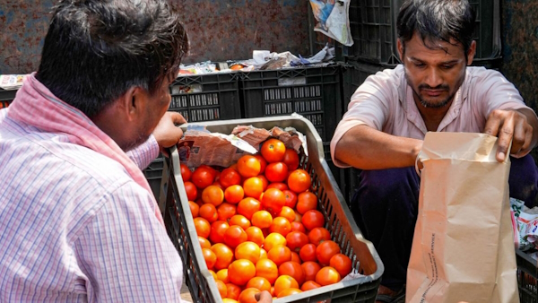 nepal tomato export