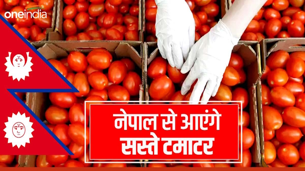 tomato prices