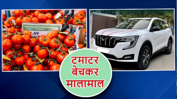 tomato News