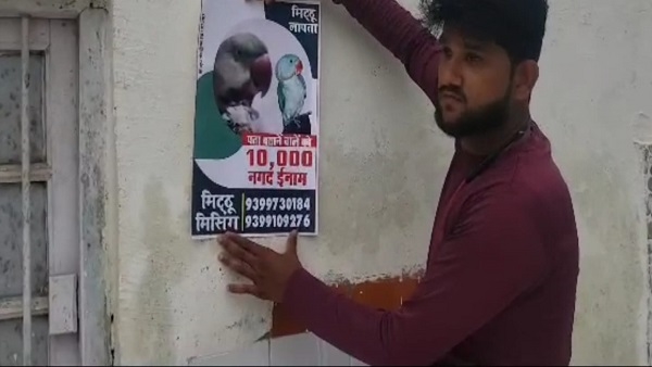 दमोह: इस परिवार की सचमुच तोते में फंसी जान, 10 हजार का इनाम 