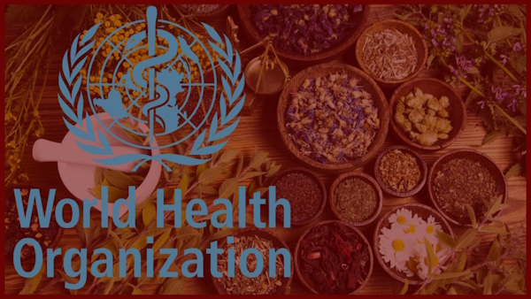 World Health Organization supports traditional medicine