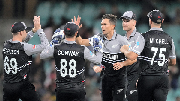 Freelancing in Cricket