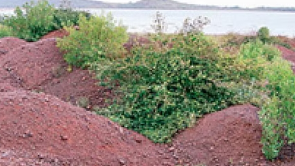 Odisha