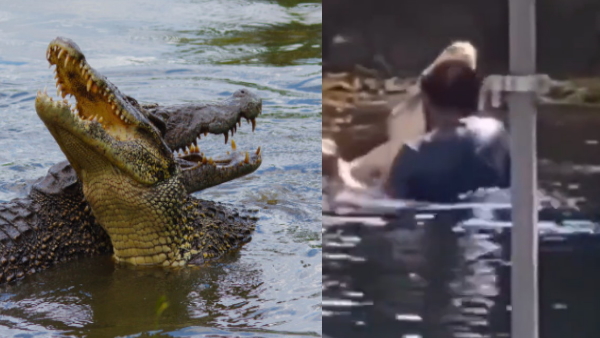 Man did romantic dance with crocodile