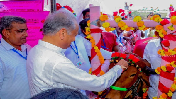 ashok gehlot 