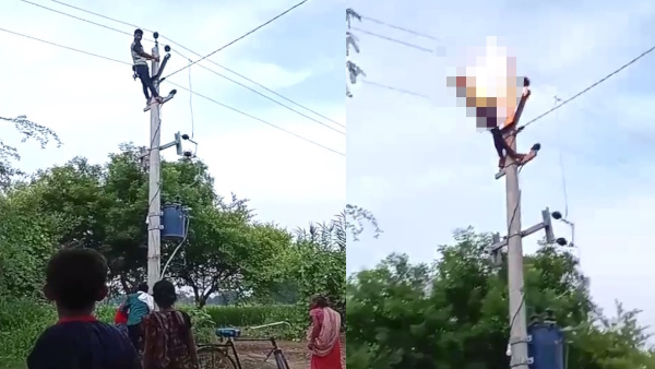 video of man climbed on an electric pole and fell down burning due to electrocution in Auraiya