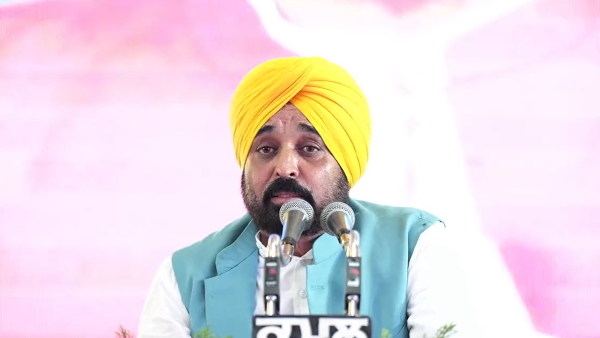 पंजाब: प्रमाणित गेहूं के बीज पर मिलेगी 50 प्रतिशत की सब्सिडी