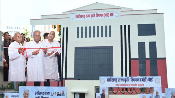 CG MANDI BOARD CG MANDI BOARD