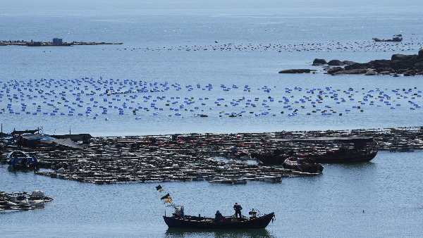 Taiwan detects 103 Chinese warplanes