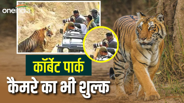  Corbett National Park Now you will have to pay camera fees know how much and what are the conditions?