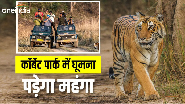 Corbett National Park Adventure travel become expensive, know how much you will have to spend now