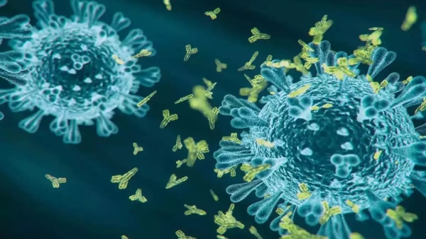 Corona new variant Pirola