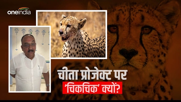 decision-to-settle-cheetah-in-kuno-national-park decision-to-settle-cheetah-in-kuno-national-park