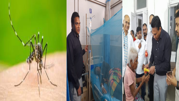 dehradun Dengue havoc entire department mobilized in the campaign, Health Secretary class officers dehradun Dengue havoc entire department mobilized in the campaign, Health Secretary class officers
