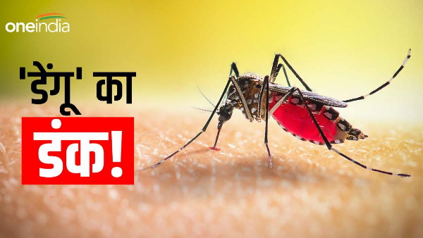 Dengue havoc is increasing in Bihar