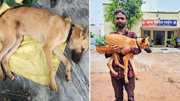 भौंकने पर कुत्ते को गोली मारी, शराब के नशे में था आरोपी, FIR