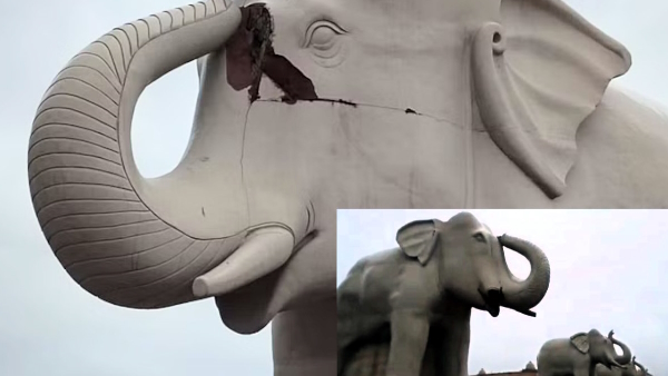 UP News Lightning fell on an elephant statue worth Rs 60 lakh installed in ambedkar park of lucknow 