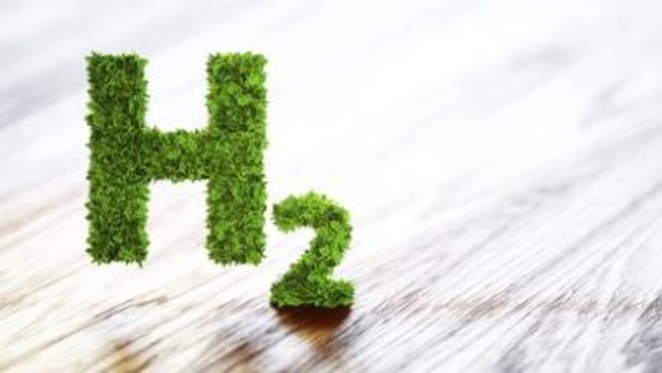 Gehlot govt green hydrogen policy 