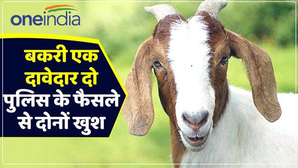 fight-broke-out-between-birbal-and-saddam-in-the-police-station-for-goat fight-broke-out-between-birbal-and-saddam-in-the-police-station-for-goat