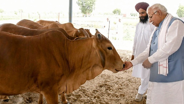 haryana cm manohar lal khattar