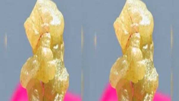 Bappa idol Bappa idol