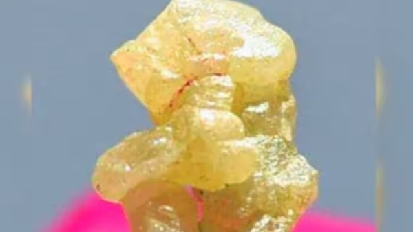 Bappa idol Bappa idol