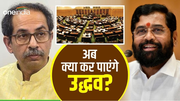  maharashtra shiv sena and uddhav